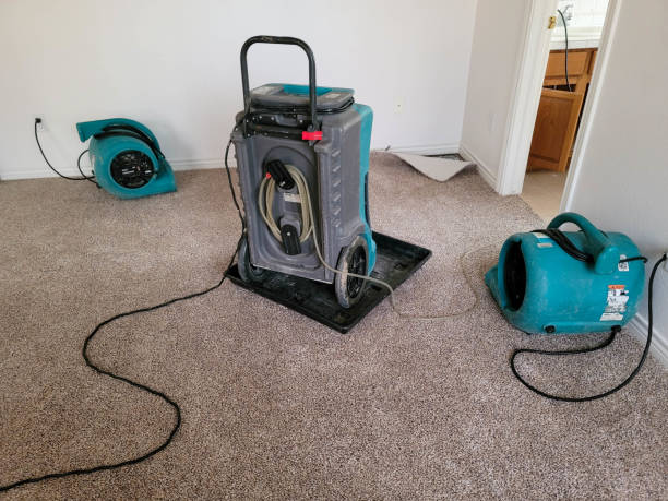 Best Water damage restoration near me  in Loma Linda, CA