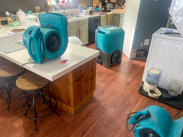 Best Ceiling water damage repair  in Loma Linda, CA