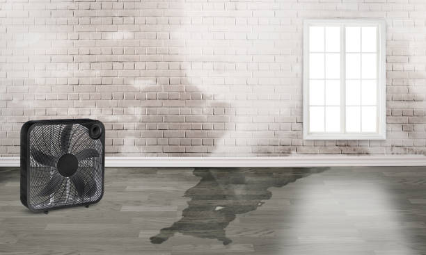 Best Basement water damage restoration  in Loma Linda, CA