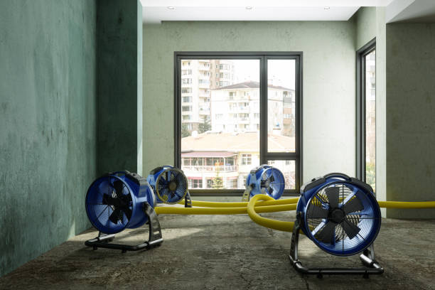 Best Flood damage cleanup  in Loma Linda, CA